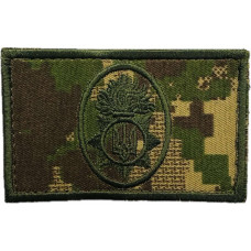 Кокарда Національна гвардія України (хижак)