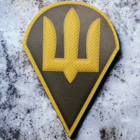 Шеврон Командування ДШВ Олива